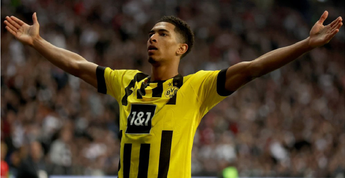 归化不仅能 归化不仅能