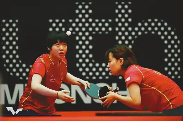 浙江队若能 浙江队若能