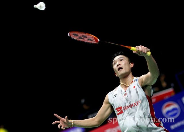 更是智慧和 更是智慧和