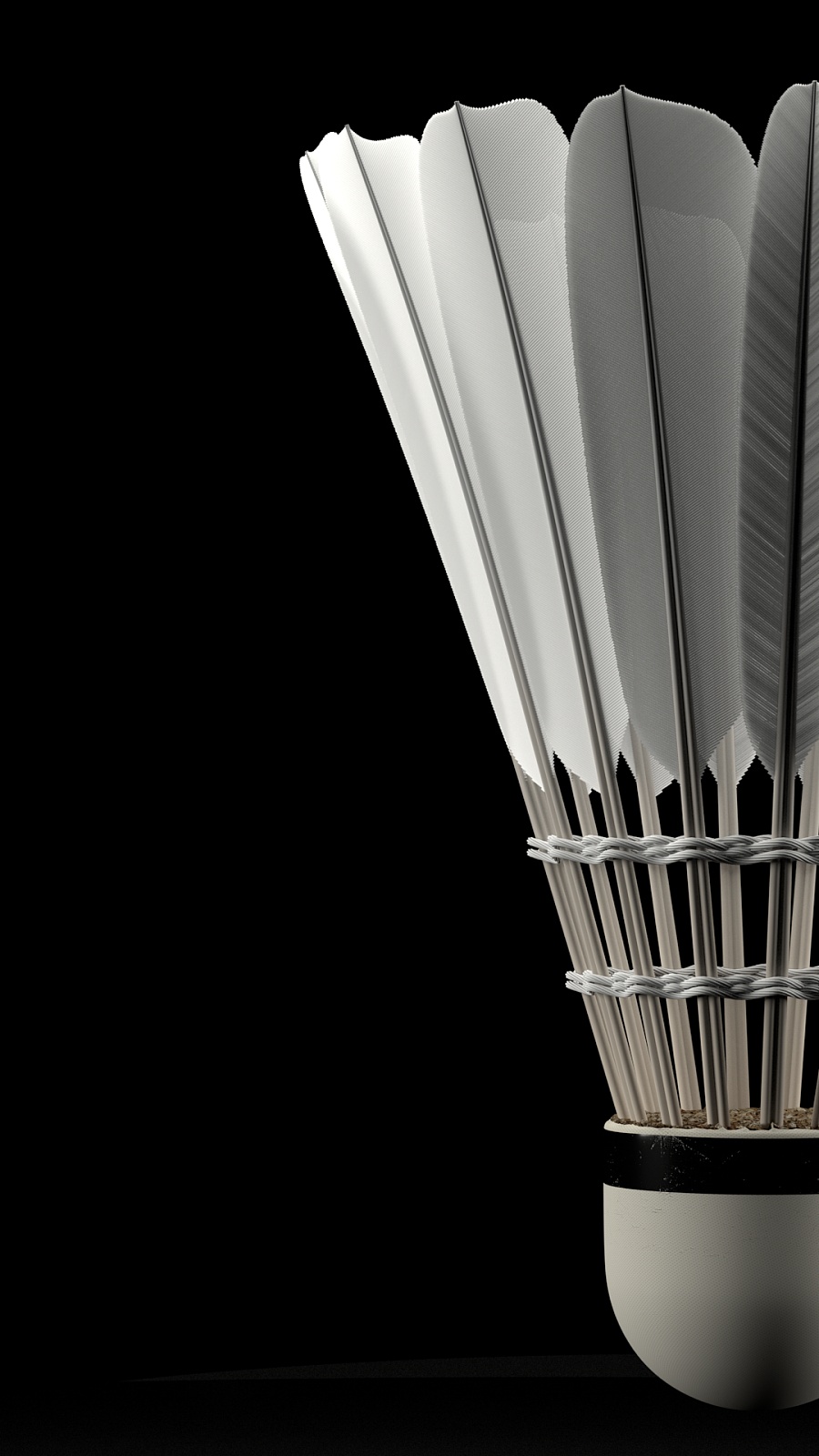 这支球队以 这支球队以