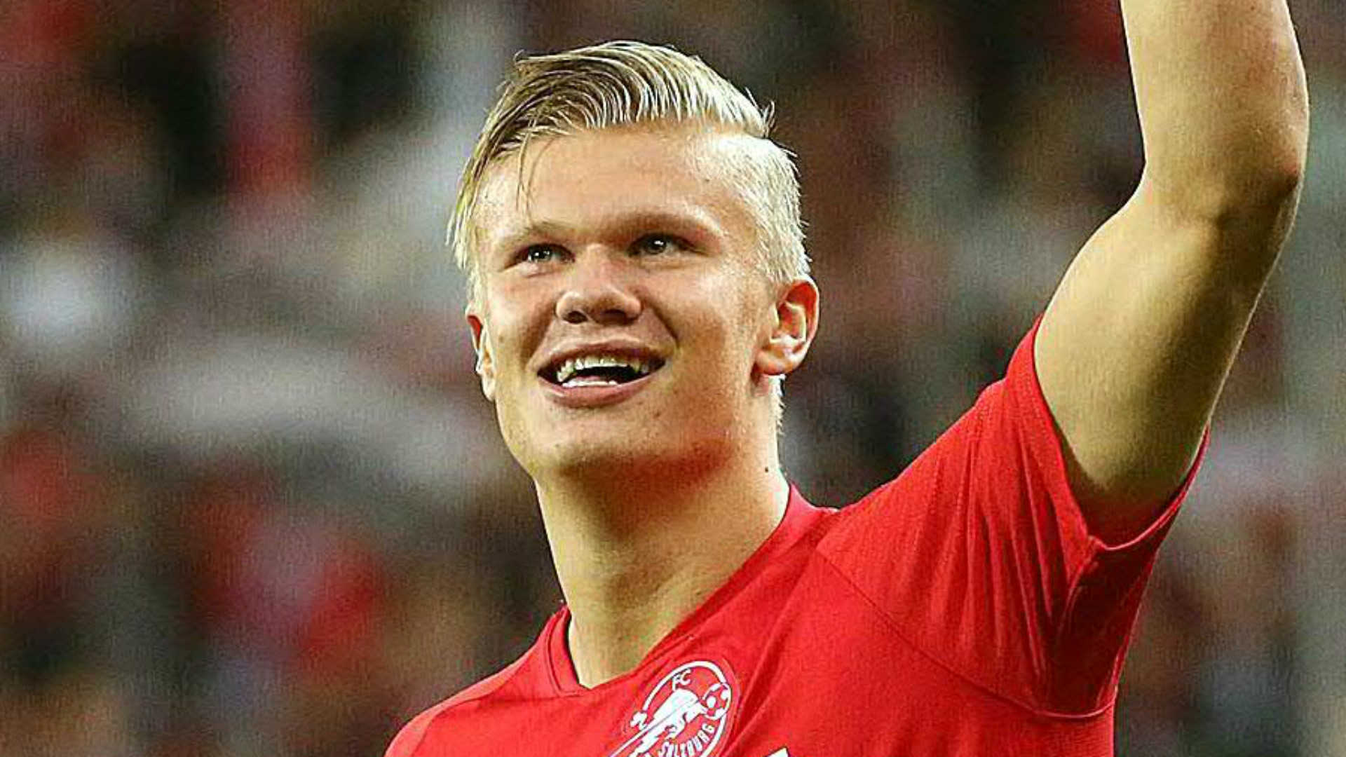 不应混淆 不应混淆